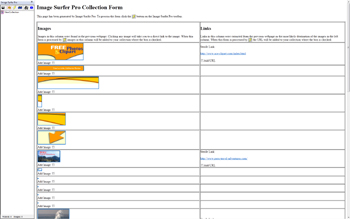 Intermediate Image Surfer Pro Form webpage