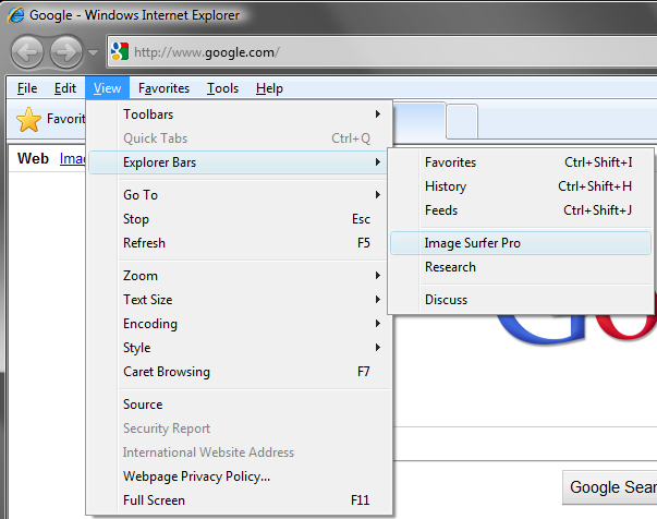 IE View drop down menu from the IE Menu bar