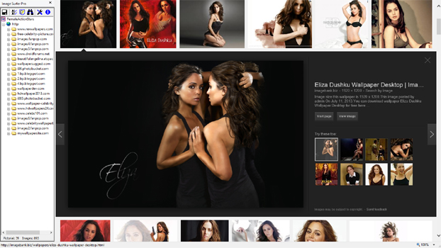 Result of seaching on images for Eliza Dushku with image we chose highlighted