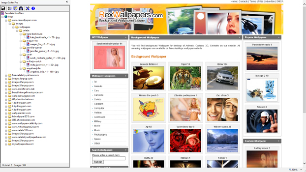 Resulting view of the website