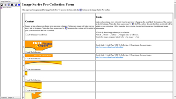 Intermediate Image Surfer Pro Form webpage