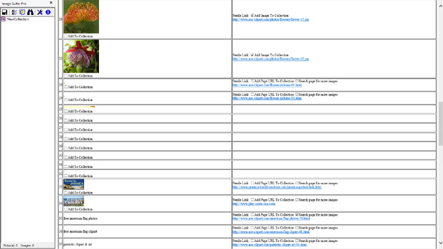 Portion of the intermediate ISP Form webpage showing other pages selected for a search