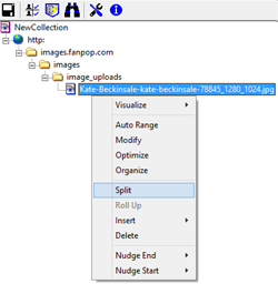 Close up of fusker collection tree with file segment selected and tree menu up with Split selected