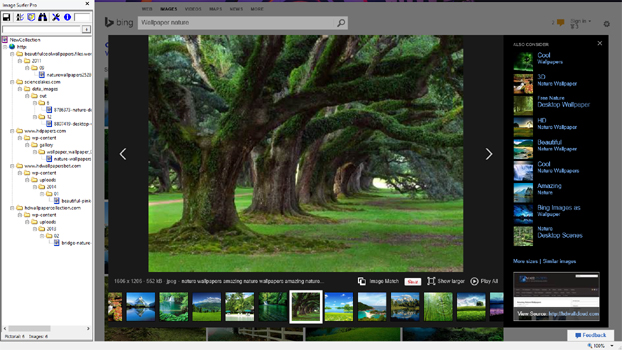 Screen capture of a Bing image search