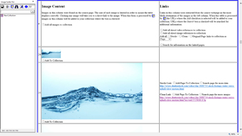 Top of the Images Table of the intermediate ISP Form webpage showing other pages selected for a search