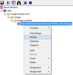 Close up of fusker collection tree with file segment selected and tree menu up with Modify selected