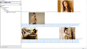 View of Internet Explorer showing the expanded view of the split directory segment