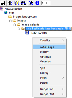 Close up of fusker tree with Split Directory selected and Auto Range highlighted on tree menu