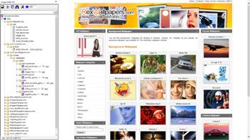 Resulting view of the website