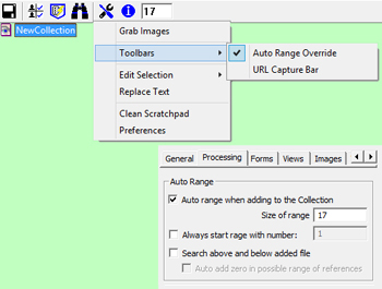 Image Surfer Pro user configuration and toolbar activating Auto Range Override