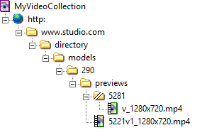 Example fusker collection tree with split directory